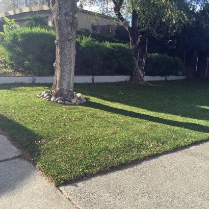 Artificial Grass Elmdale, Kansas Landscape Rock, Front Yard Design