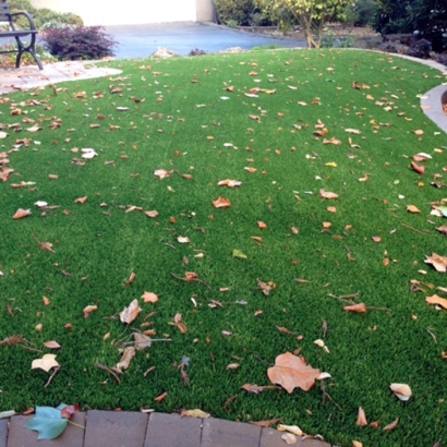 Synthetic Grass in Lakin, Kansas