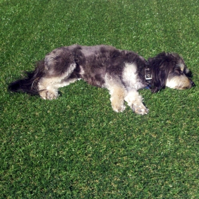 Fake Grass, Synthetic Lawns & Putting Greens in Bentley, Kansas