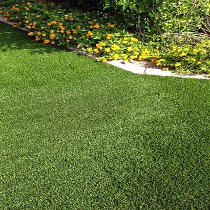 Home Putting Greens & Synthetic Lawn in Oneida, Kansas