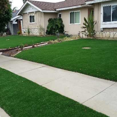 Synthetic Grass in Barnes, Kansas