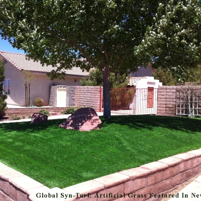 Artificial Grass Mulvane, Kansas Lawn And Garden, Front Yard