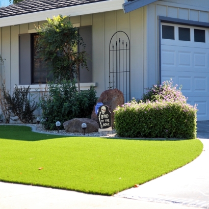 Artificial Grass in Ozawkie, Kansas