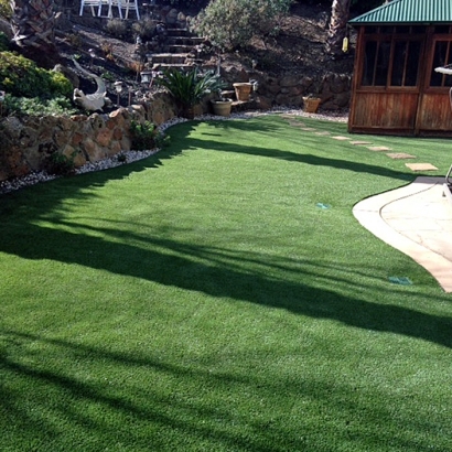 Artificial Lawn Climax, Kansas Gardeners, Backyard Landscape Ideas