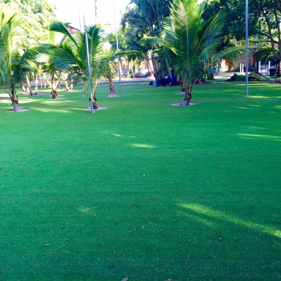 Fake Grass & Synthetic Putting Greens in Kanopolis, Kansas