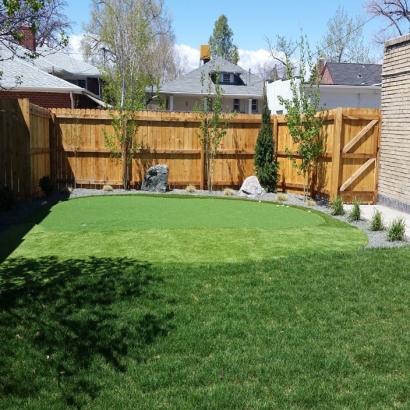 Artificial Lawn Moline, Kansas Landscape Photos, Backyard Design