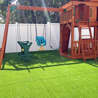 Synthetic Grass in Green, Kansas