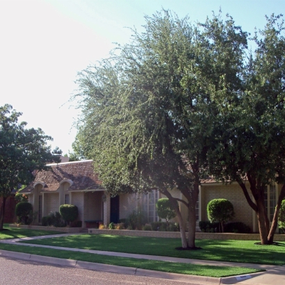 Artificial Lawn Severy, Kansas Roof Top, Front Yard