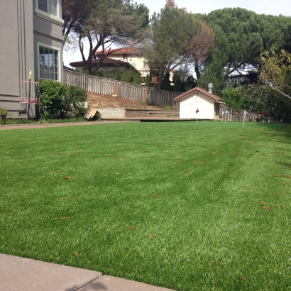 Artificial Lawn Washington, Kansas Outdoor Putting Green, Backyard Designs