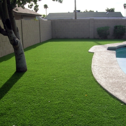 Outdoor Putting Greens & Synthetic Lawn in Wheaton, Kansas