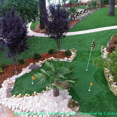 Artificial Grass in Wichita, Kansas