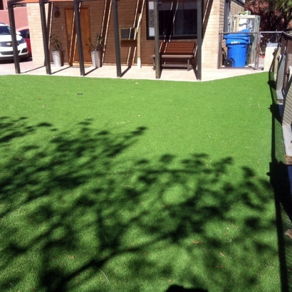 Artificial Turf Assaria, Kansas Backyard Deck Ideas, Backyard