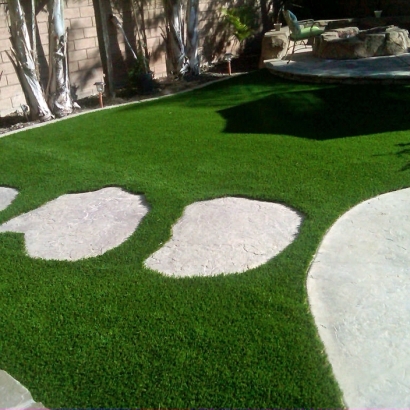 Synthetic Turf in Clearwater, Kansas