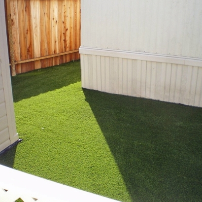 Artificial Turf in Belle Plaine, Kansas