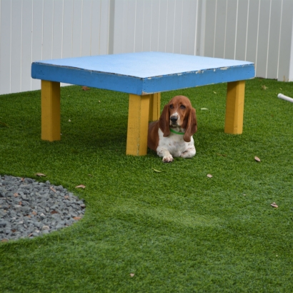 Artificial Turf Cost Chapman, Kansas Fake Grass For Dogs, Dogs