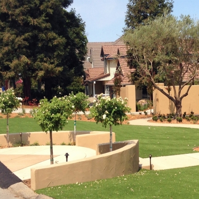 Artificial Turf in Lindsborg, Kansas