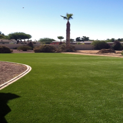 Synthetic Grass in Parkerfield, Kansas