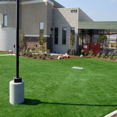 Synthetic Turf in West Mineral, Kansas
