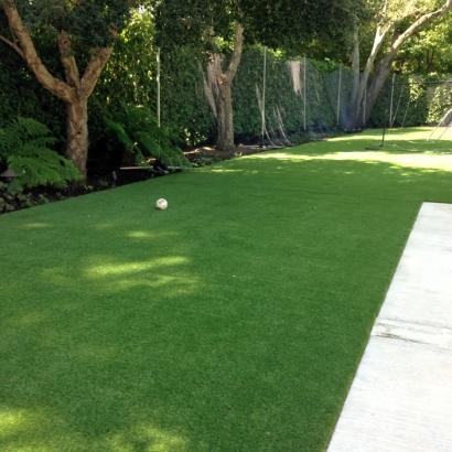 Synthetic Grass in McLouth, Kansas