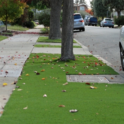 Artificial Grass in Towanda, Kansas