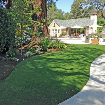 Synthetic Turf in Seward, Kansas