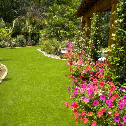 Fake Grass in Wilroads Gardens, Kansas