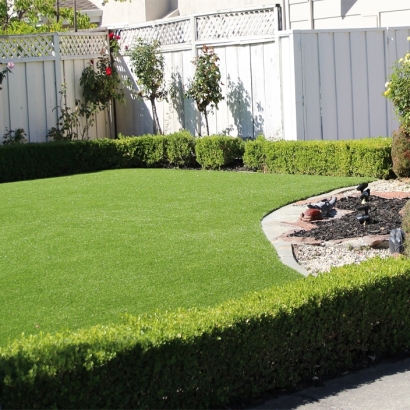 Artificial Grass in Mulberry, Kansas