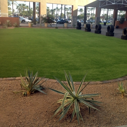 Fake Grass & Putting Greens in Prescott, Kansas