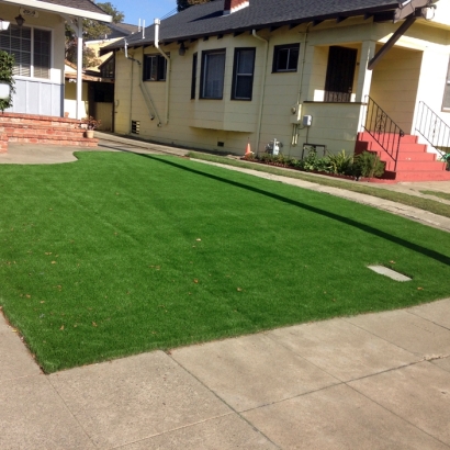 Artificial Turf Wallace, Kansas Lawn And Landscape, Front Yard Landscaping Ideas