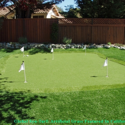 Best Artificial Grass Andover, Kansas Indoor Putting Greens, Backyard Ideas