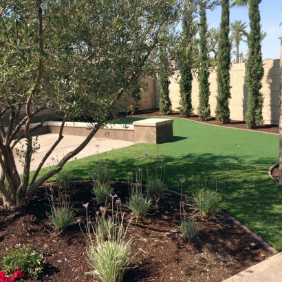 Artificial Grass in Chase, Kansas