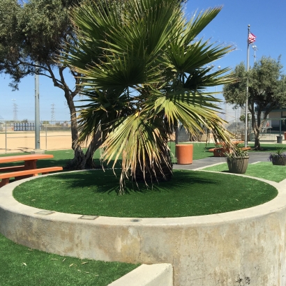 Artificial Grass in Altoona, Kansas