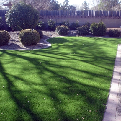 Artificial Grass in Woodson County, Kansas