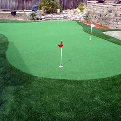 Best Artificial Grass Pretty Prairie, Kansas City Landscape, Backyard Design