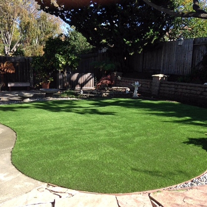 Best Artificial Grass Sharon, Kansas Design Ideas, Backyard Design