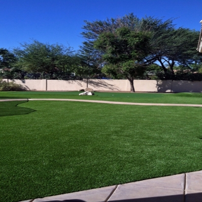 Artificial Turf in Falun, Kansas