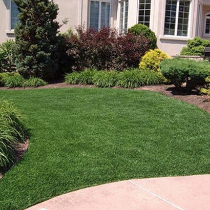 Best Artificial Grass Strong City, Kansas Backyard Playground, Landscaping Ideas For Front Yard