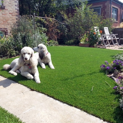 Best Artificial Grass Whiting, Kansas Design Ideas, Dog Kennels