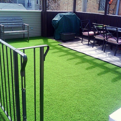 Artificial Grass in Raymond, Kansas