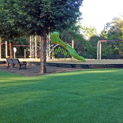 Artificial Grass in Coffey County, Kansas