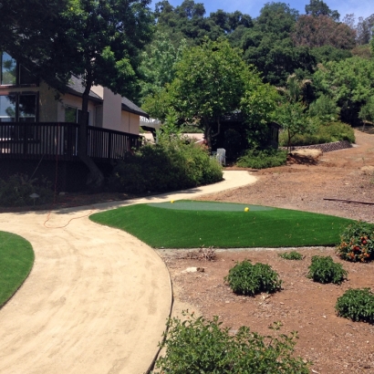 Fake Grass for Yards, Backyard Putting Greens in Haven, Kansas