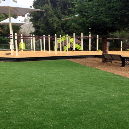 Fake Grass Chetopa, Kansas Lacrosse Playground, Backyard Garden Ideas