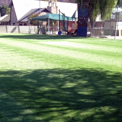 Fake Turf Grass in Everest, Kansas