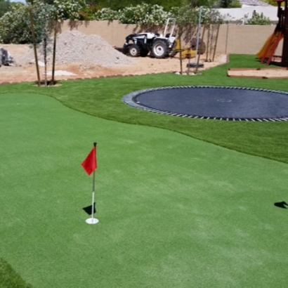 Fake Grass Lebo, Kansas Putting Green Turf, Backyard Garden Ideas