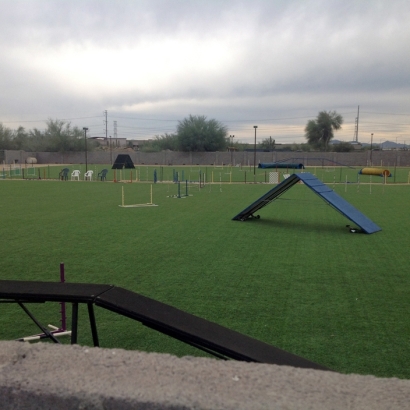 Artificial Turf in Baldwin City, Kansas