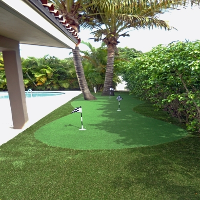 Artificial Grass in Harris, Kansas