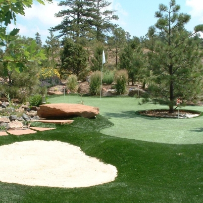 Fake Lawn Salina, Kansas Home Putting Green, Backyard Garden Ideas