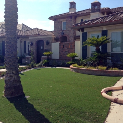 Fake Grass in Barton County, Kansas