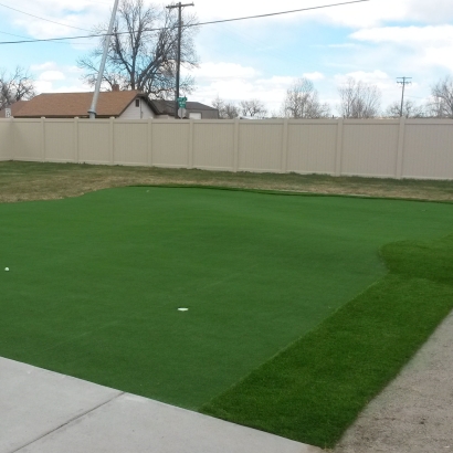 Fake Turf Niotaze, Kansas How To Build A Putting Green, Backyard Makeover