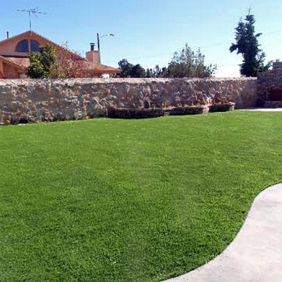 Synthetic Lawns & Putting Greens of Goddard, Kansas